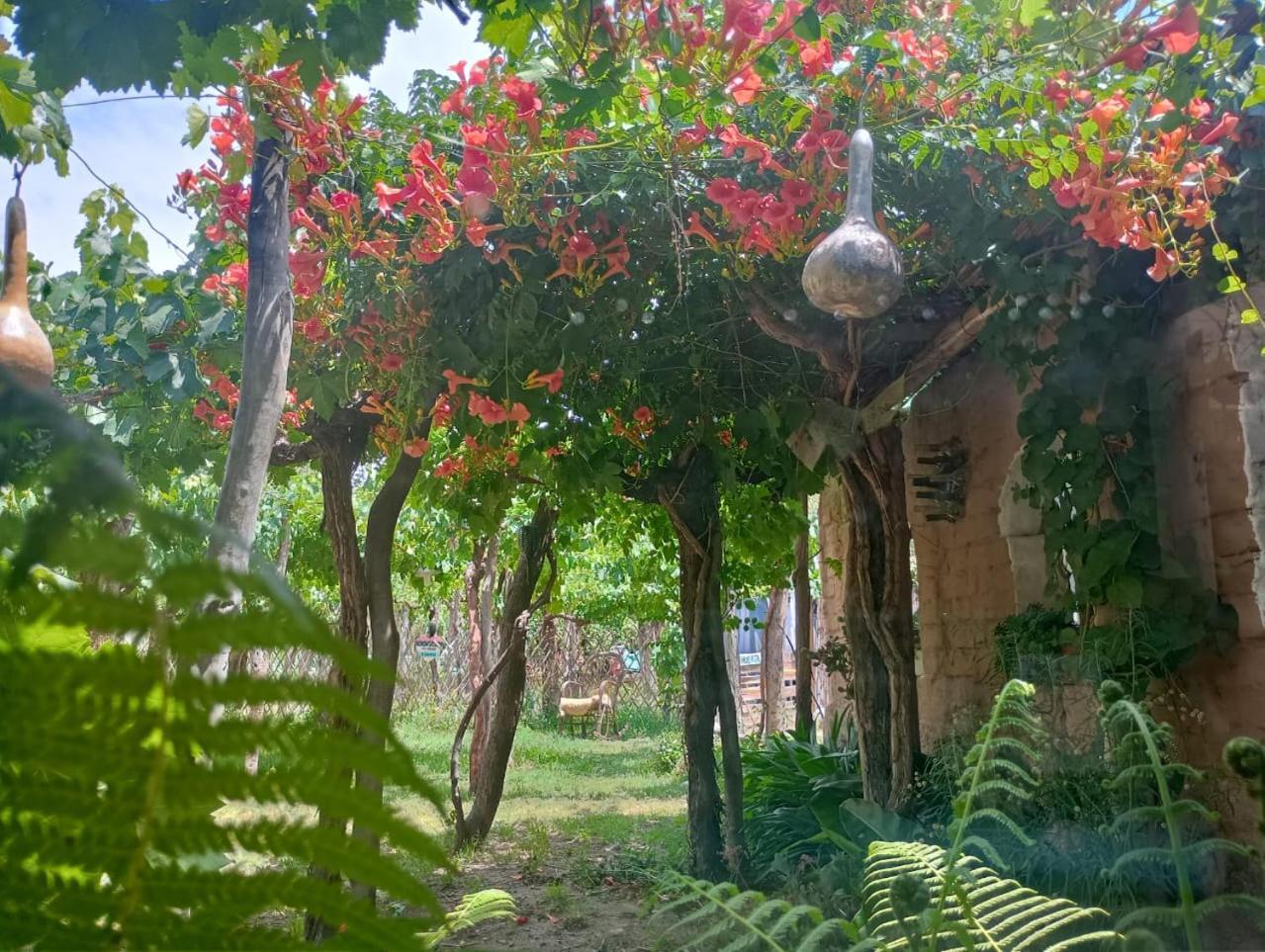 Casa Prana Estudio De Yoga Cafayate Εξωτερικό φωτογραφία