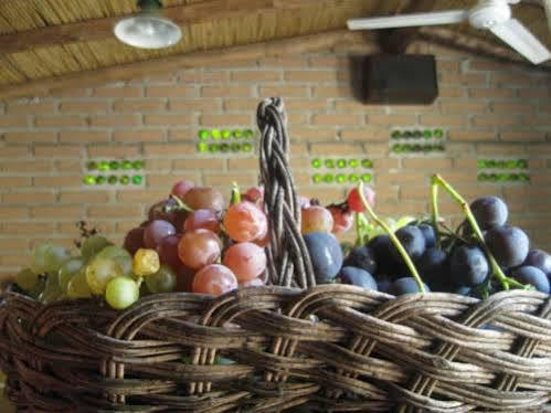 Casa Prana Estudio De Yoga Cafayate Εξωτερικό φωτογραφία